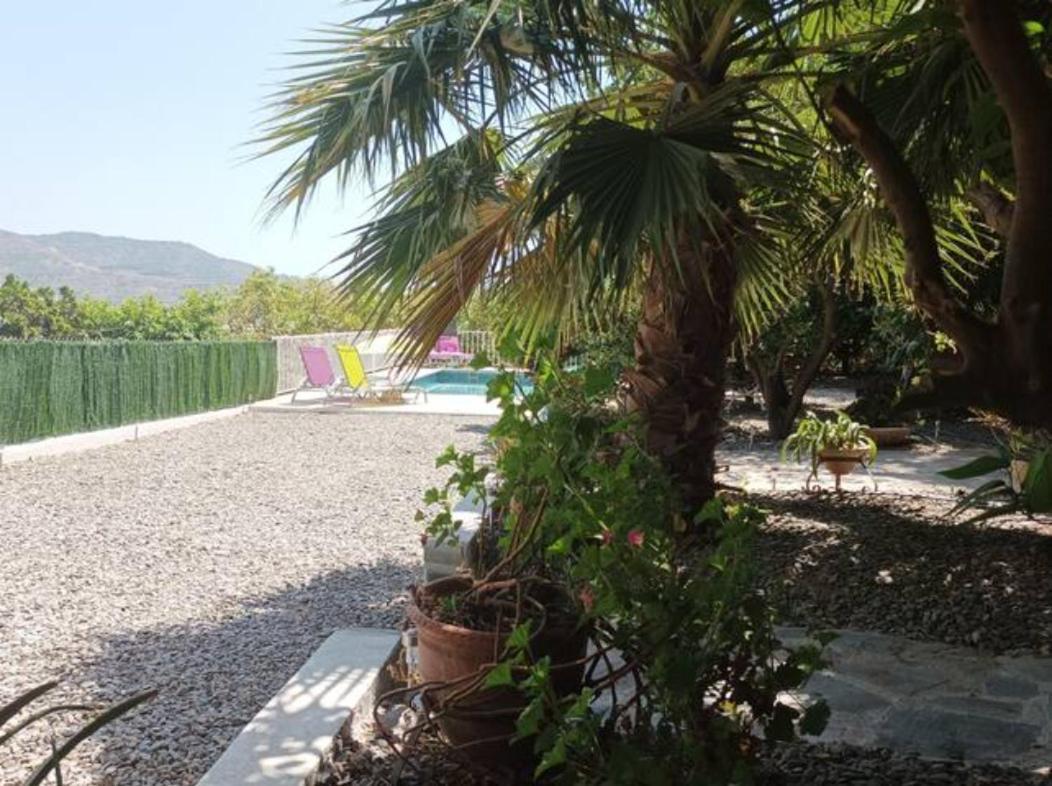 فيلا Cortijo Del Sidi موتريل المظهر الخارجي الصورة